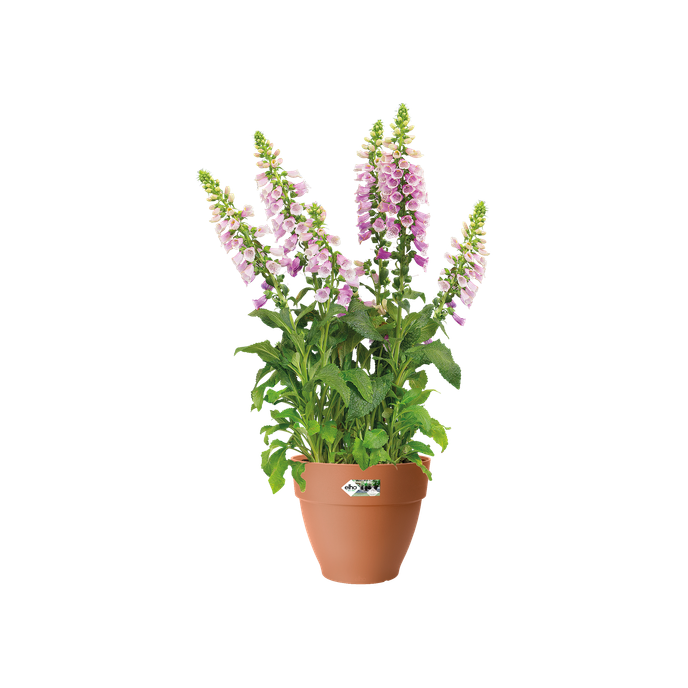 vibia campana rond 47cm terre cuite